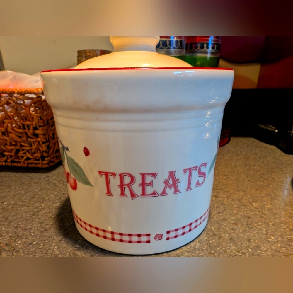 Vintage Pfalzcraft Delicious Treat/Cookie Canister